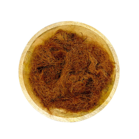 Chwost kukurydziany. 50 gr.