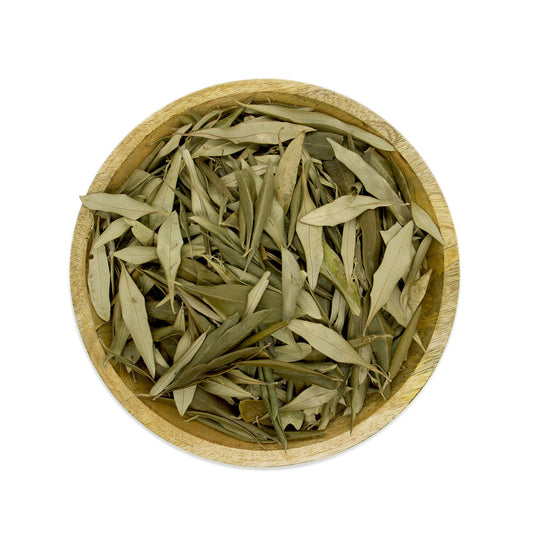 Liście oliwne. 50 gr.