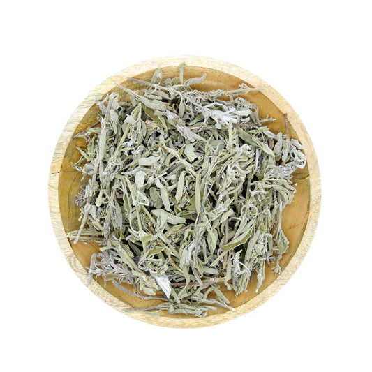 Szałwia dzika. 50 gr.