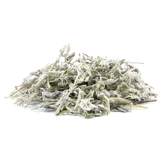 Szałwia dzika. 50 gr.