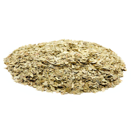 Miłorząb japoński. 50 gr.