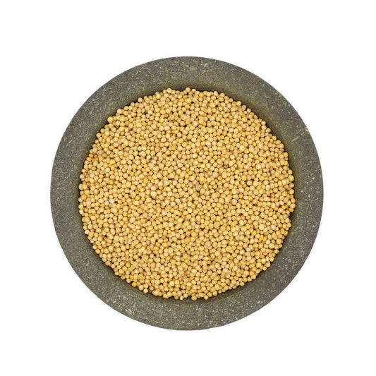 Nasiona gorczycy białej. 50 gr.