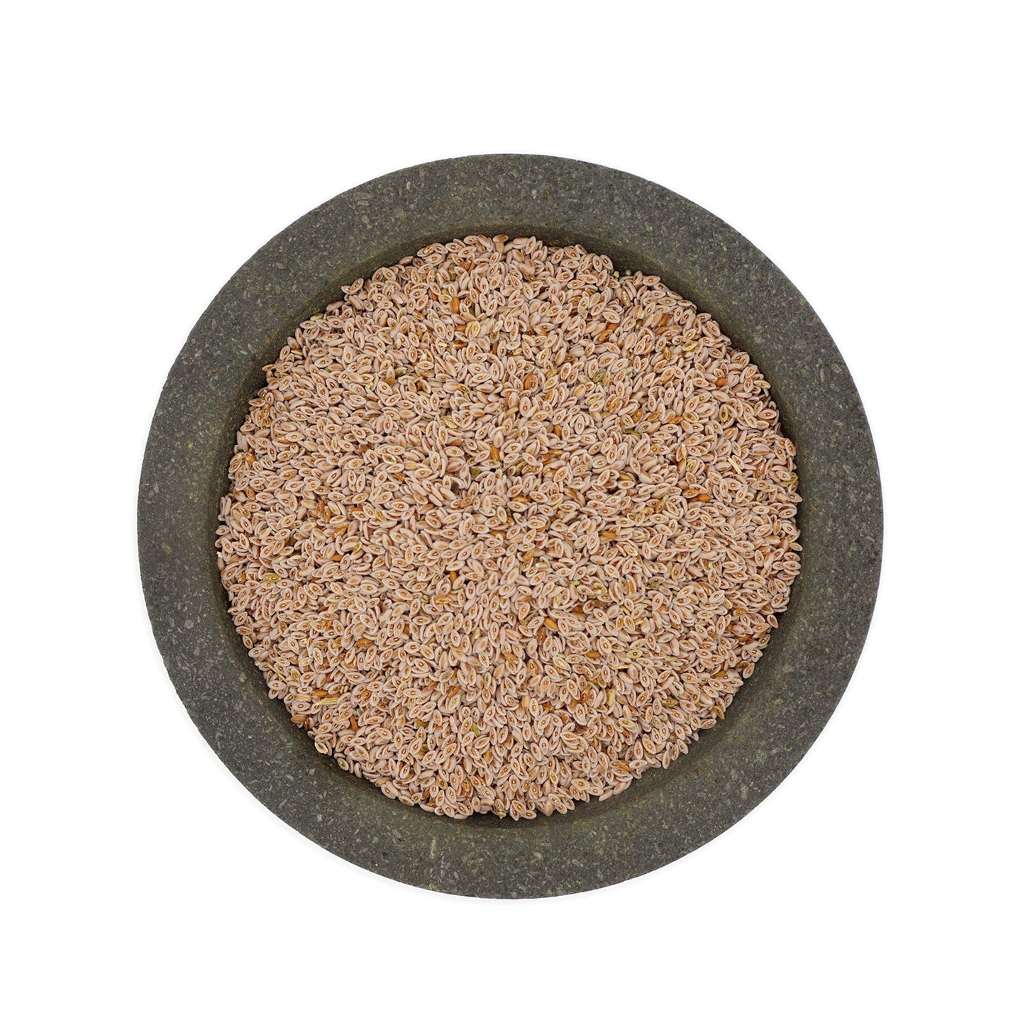 Nasiona babki płesznik. 50 gr.