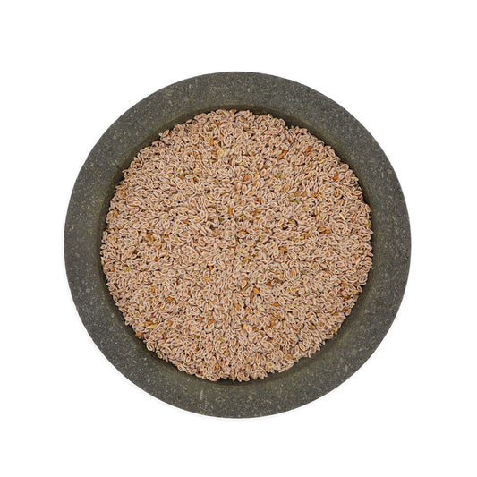 Nasiona babki płesznik. 50 gr.